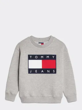 Kids 8-12 Flag Sweatshirt | Hoodies | Tommy Hilfiger