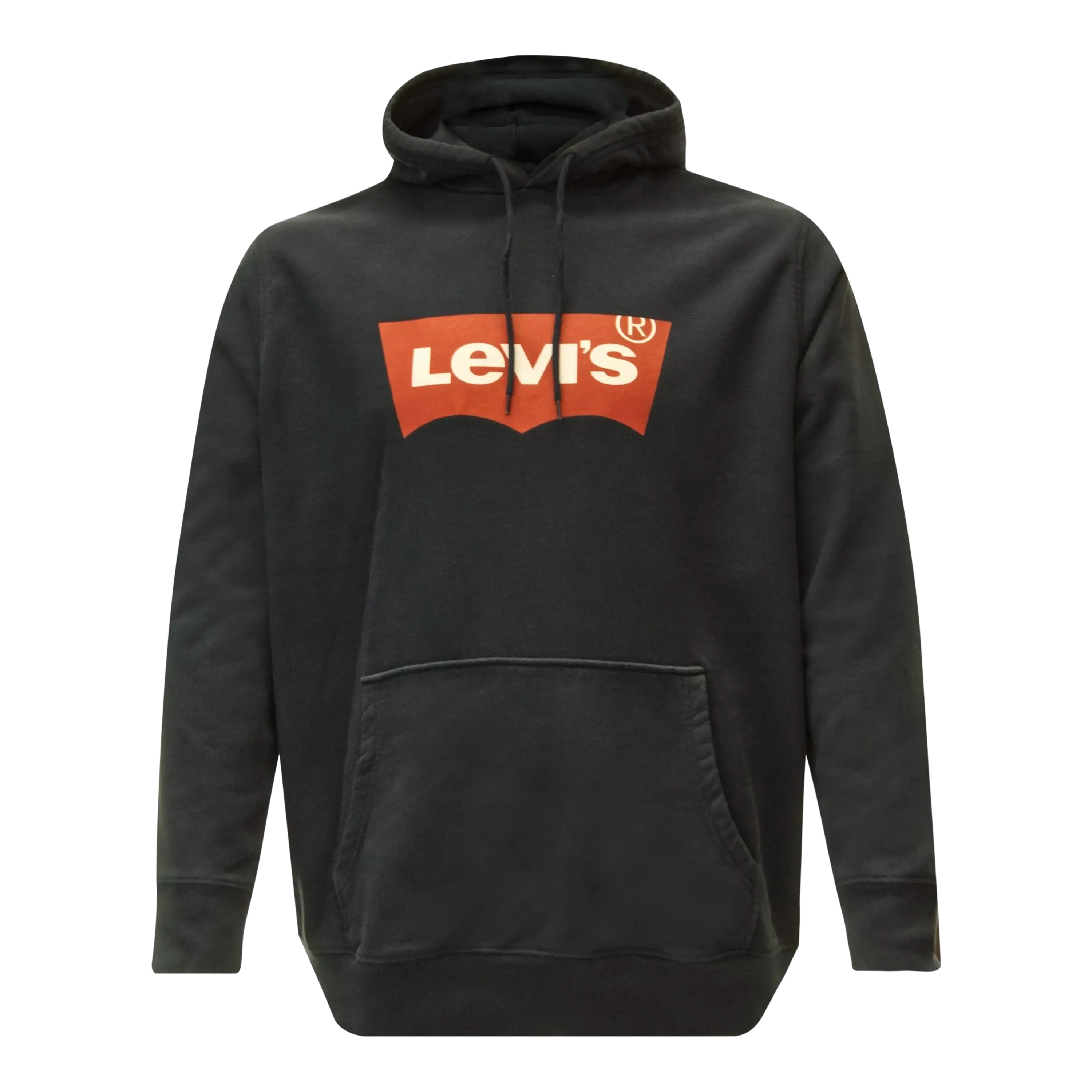 Levi's T2 Big Graphic Hoodie