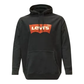 Levi's T2 Big Graphic Hoodie