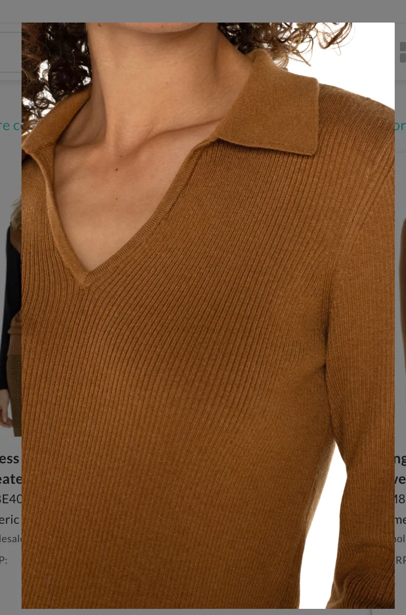 Long Sleeve V-Neck Collared Sweater- Tumeric